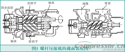 螺桿式壓縮機(jī)轉(zhuǎn)子故障與檢測(cè)