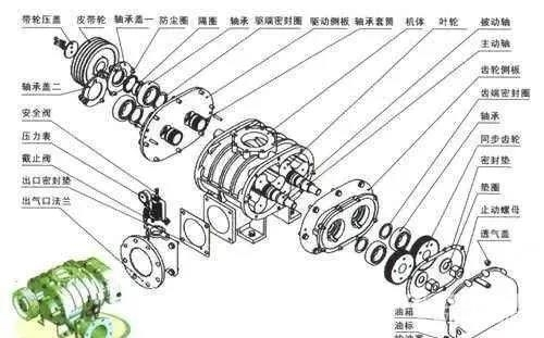 羅茨風(fēng)機(jī)結(jié)構(gòu)及工作原理解剖圖！