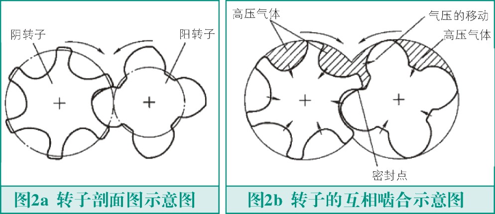 螺桿式壓縮機轉(zhuǎn)子故障與檢測