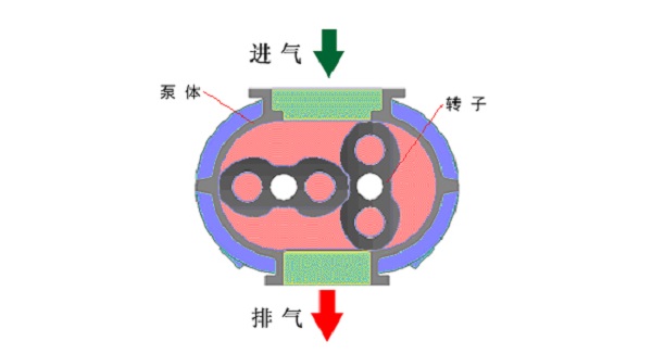 漲姿勢 | 羅茨鼓風(fēng)機(jī)(壓縮機(jī))原理和操作規(guī)程